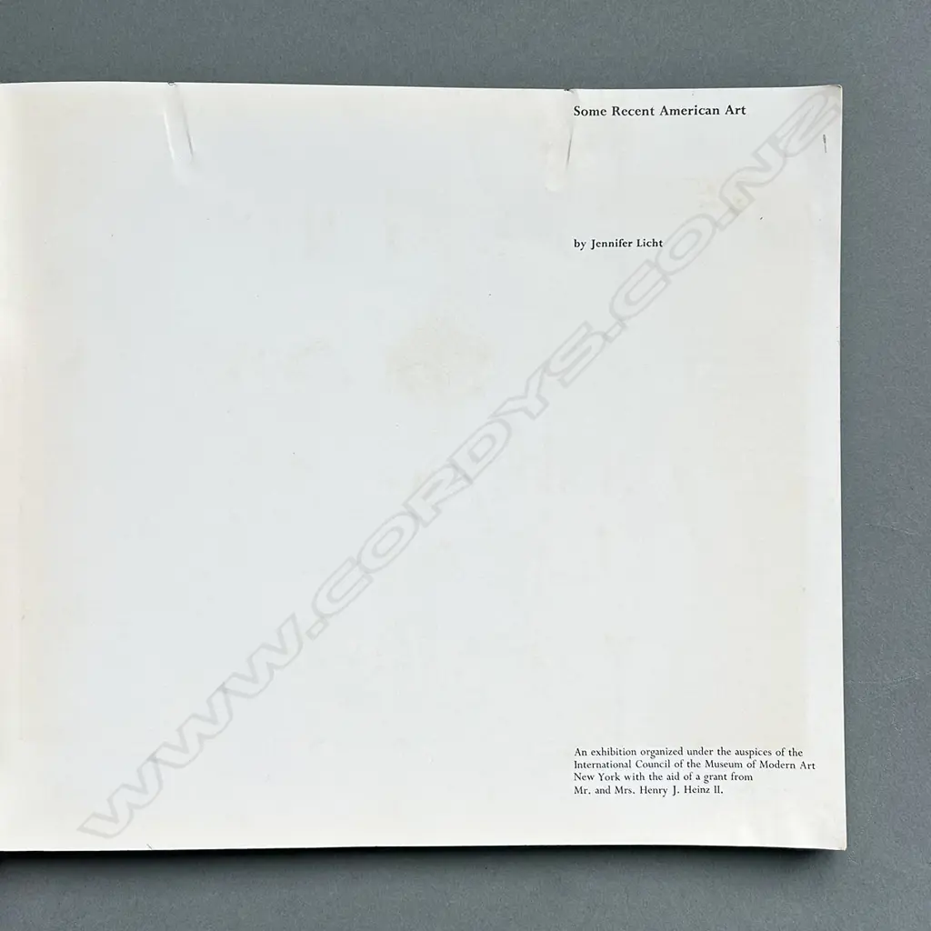 JENNIFER LICHT: SOME RECENT AMERICAN ART Image 1++